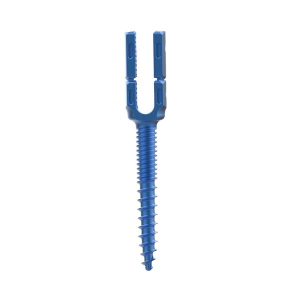Spine Pedicle Screw for Spinal Fixation Surgery