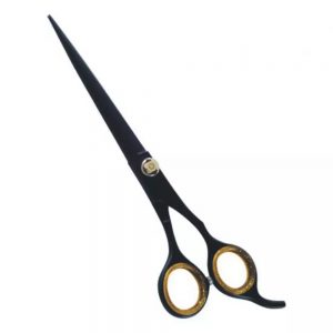 Gunter double beveled scissor