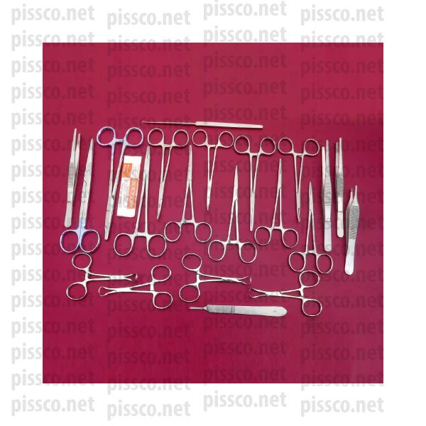 Bitch Spay Pack Surgical Veterinary Instruments Set