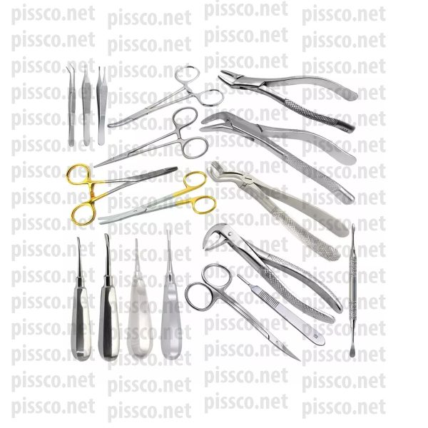 Dog Dental Extraction Kit of 18Pcs For Tooth Removal Veterinary Dental Extraction Set Veterinary Instruments