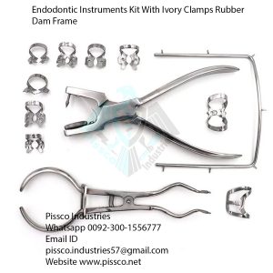 Endodontic Instruments Kit With Ivory Clamps, Rubber Dam Frame' Punch Pliers and Forceps of Endodontics Treatment Dental Tools