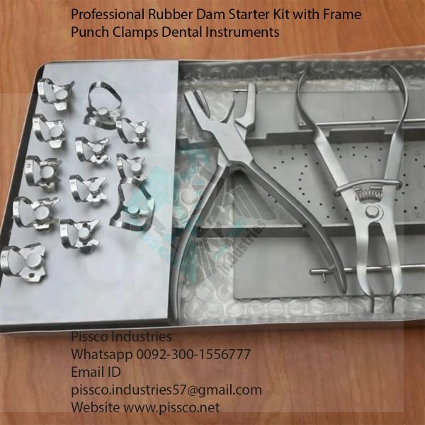 Professional Rubber Dam Starter Kit with Frame Punch Clamps Dental Instruments